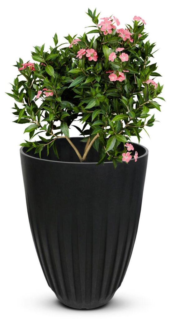 Harmony 51cm Black 1